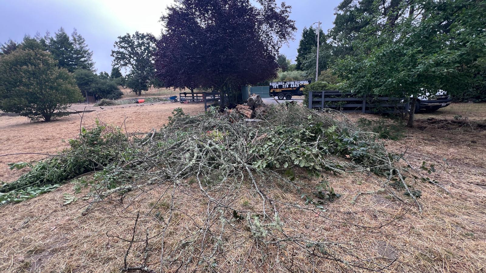 whatsapp image 2025 07 26 at 10.24.21 2ab0cdeb.jpg